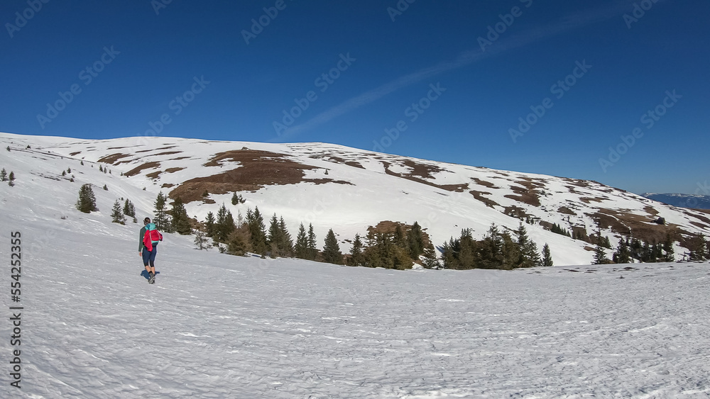 Rear view of woman with hiking backpack walking on snow covered alpine meadow from Ladinger Spitz to Gertrusk, Saualpe, Lavanttal Alps, Carinthia, Austria, Europe. Trekking on sunny early spring day