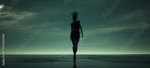 Fototapeta Naklejka Na Ścianę i Meble -  Smoke Shadow Spirit Silhouette Large Mysterious Woman Walking Across a Beach Gloom Horror Sci-Fi 3d illustration render	