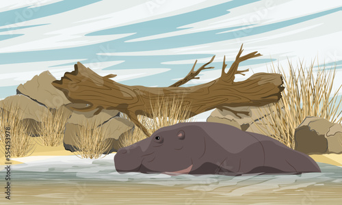 The hippo lies in the lake. wild animals of africa. Realistic Vector Landscape
