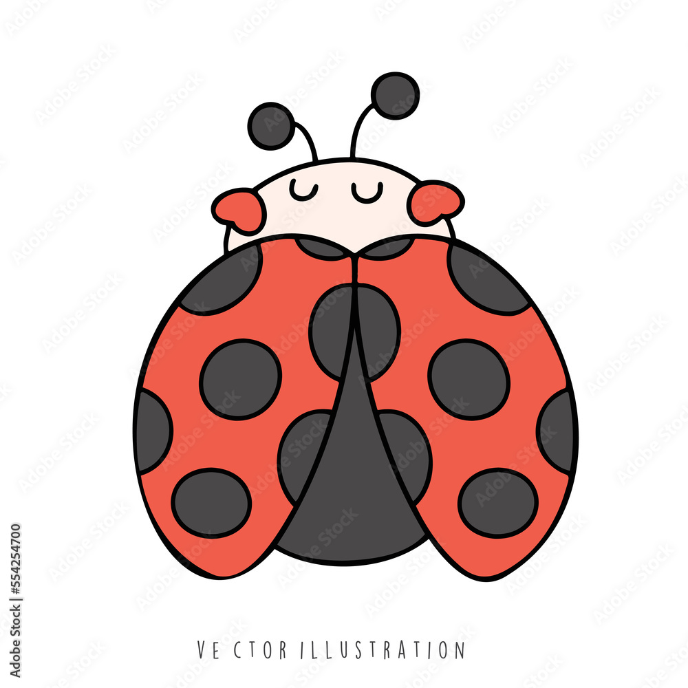Fototapeta premium ladybug
