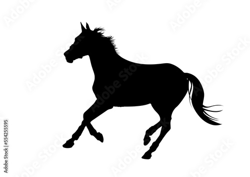 Graphics design silhouette horse  isolated white background vector illustration