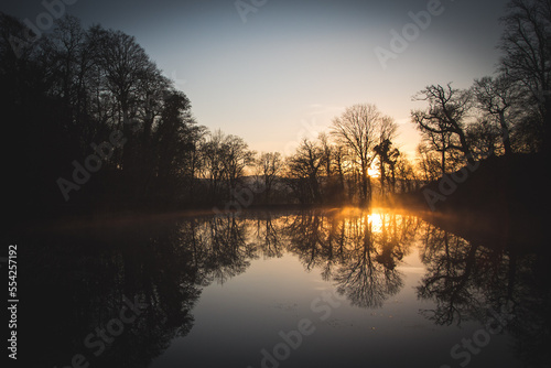 sunset over a pond, Silhouetted trees and a clear reflection on the water.