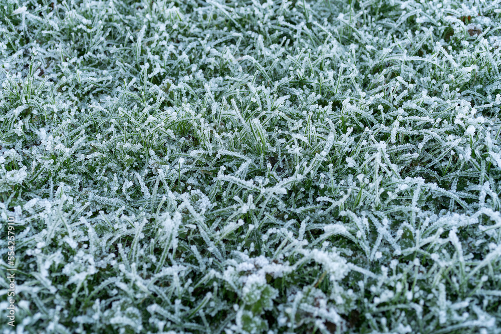 Morning frost on a frozen grass background during the winter snow season caused by a sub zero temperature, close-up stock photo Morning frost on a frozen grass background during the winter snow season caused by a sub zero temperature, close-up stock photo