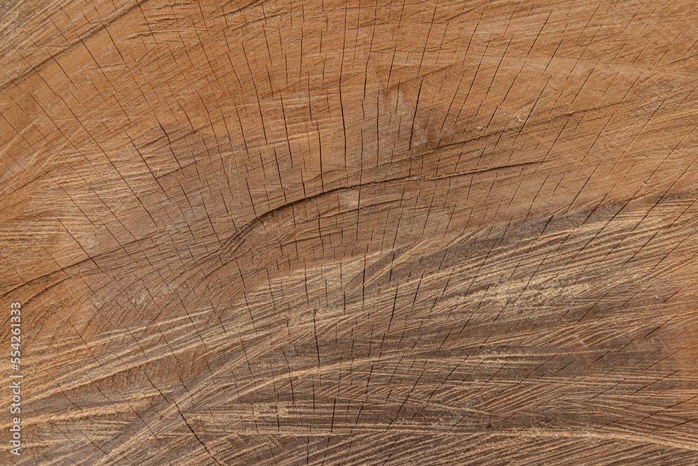 texture of wood texture of wood
