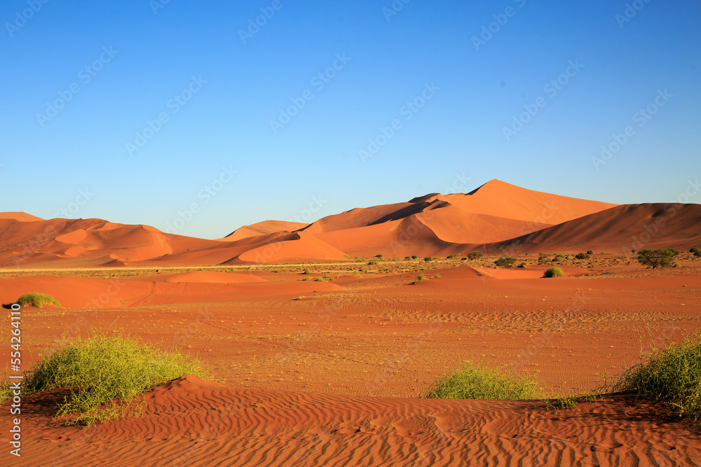 Beautiful sweeping landscape of Sossusvlei in Namib Desert, with wind ripples in the sand, Namibia