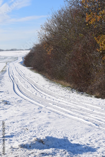 Spuren im Schneer photo