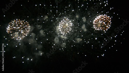 fireworks in the night