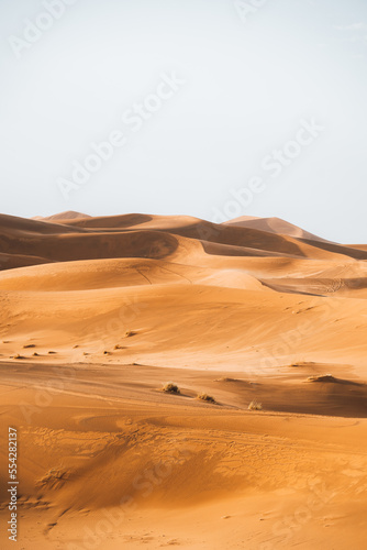 Sand texture in Morocco Sahara Merzouga Desert portrait oriented