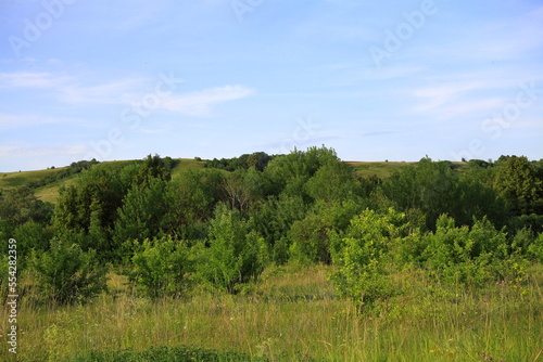 Fototapeta Naklejka Na Ścianę i Meble -  Road to the field. green grass and dense trees, with beautiful clouds. scenery.	