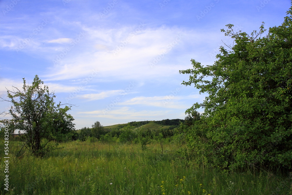 Road to the field. green grass and dense trees, with beautiful clouds. scenery. Road to the field. green grass and dense trees, with beautiful clouds. scenery.