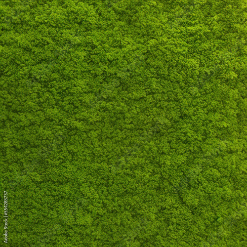 green grass texture background