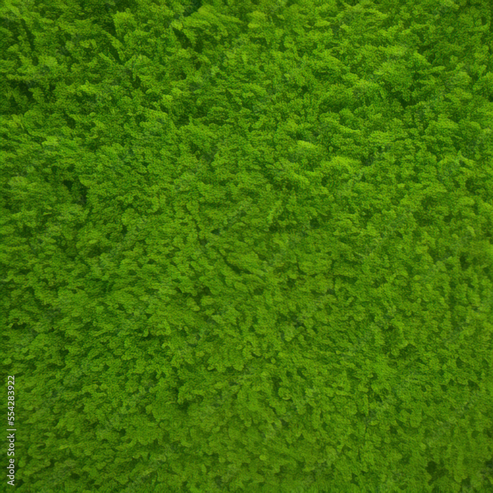 green grass texture background green grass texture background