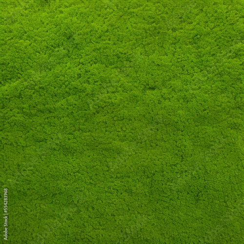 green grass texture background