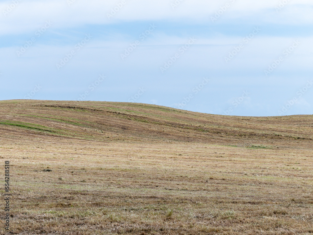 Hills covered with stubble under a blue sky on a spring day. Minimalistic landscape, field under blue sky. Hills covered with stubble under a blue sky on a spring day. Minimalistic landscape, field under blue sky.