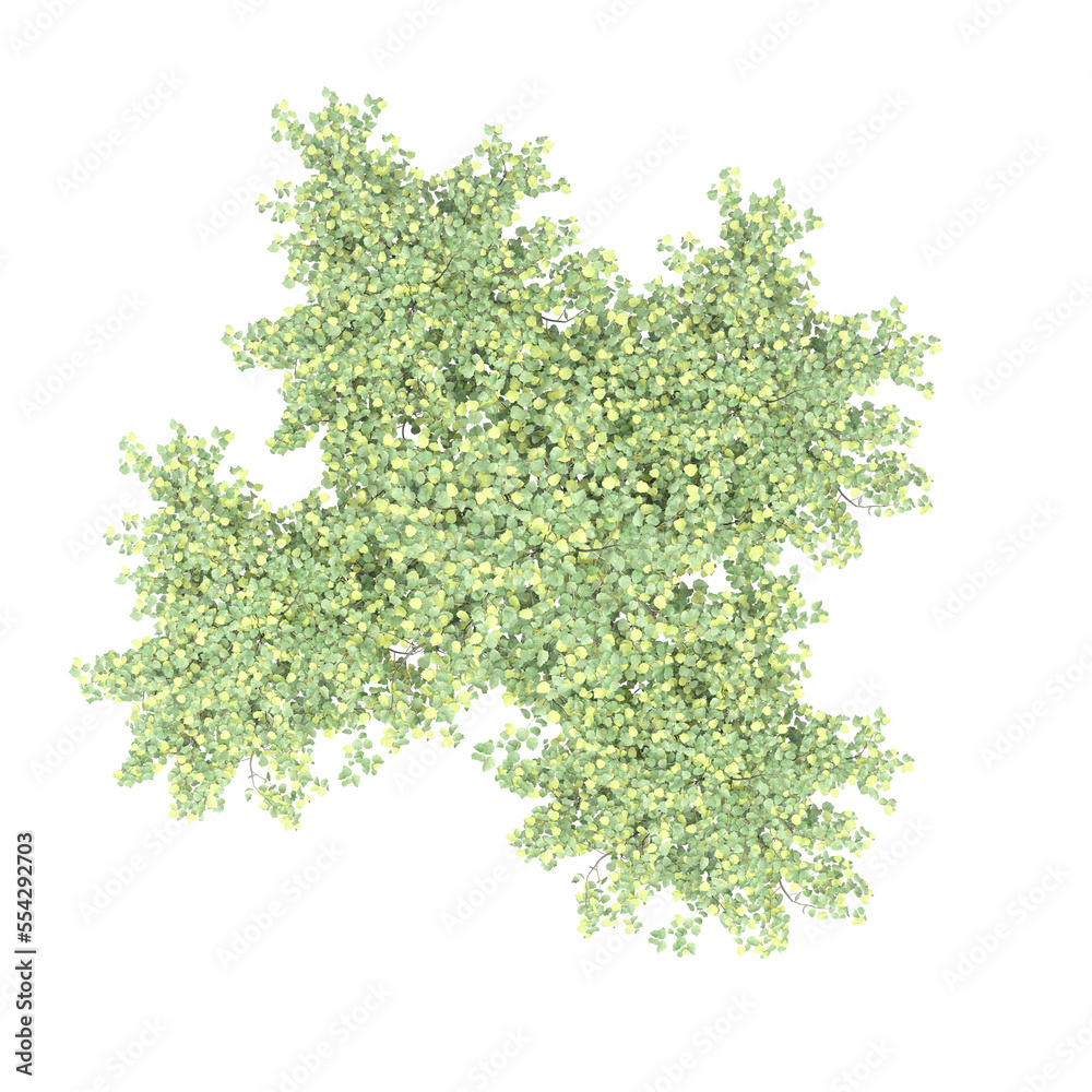 Obraz premium group of trees, top view, isolate on a transparent background, 3d illustration