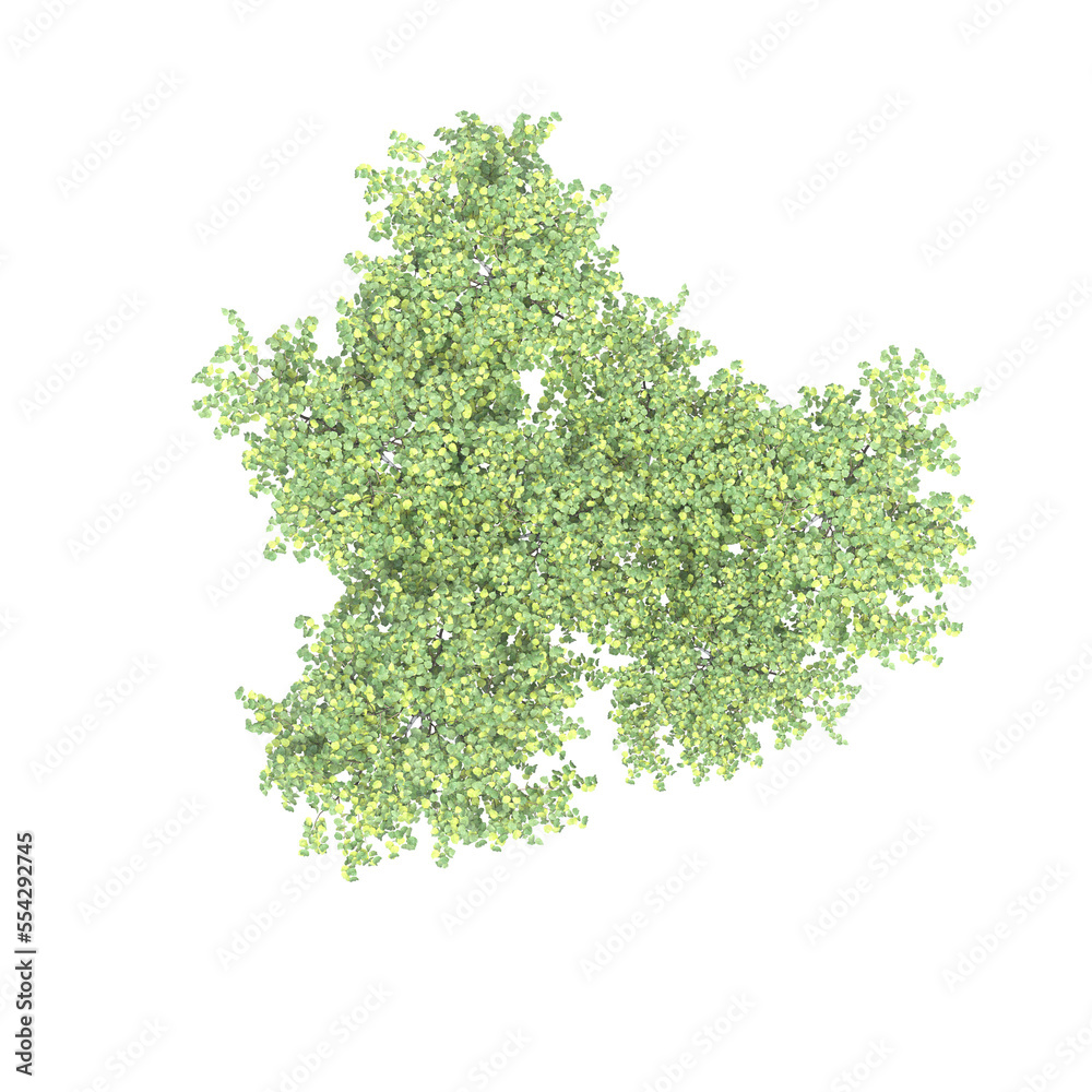 Obraz premium group of trees, top view, isolate on a transparent background, 3d illustration