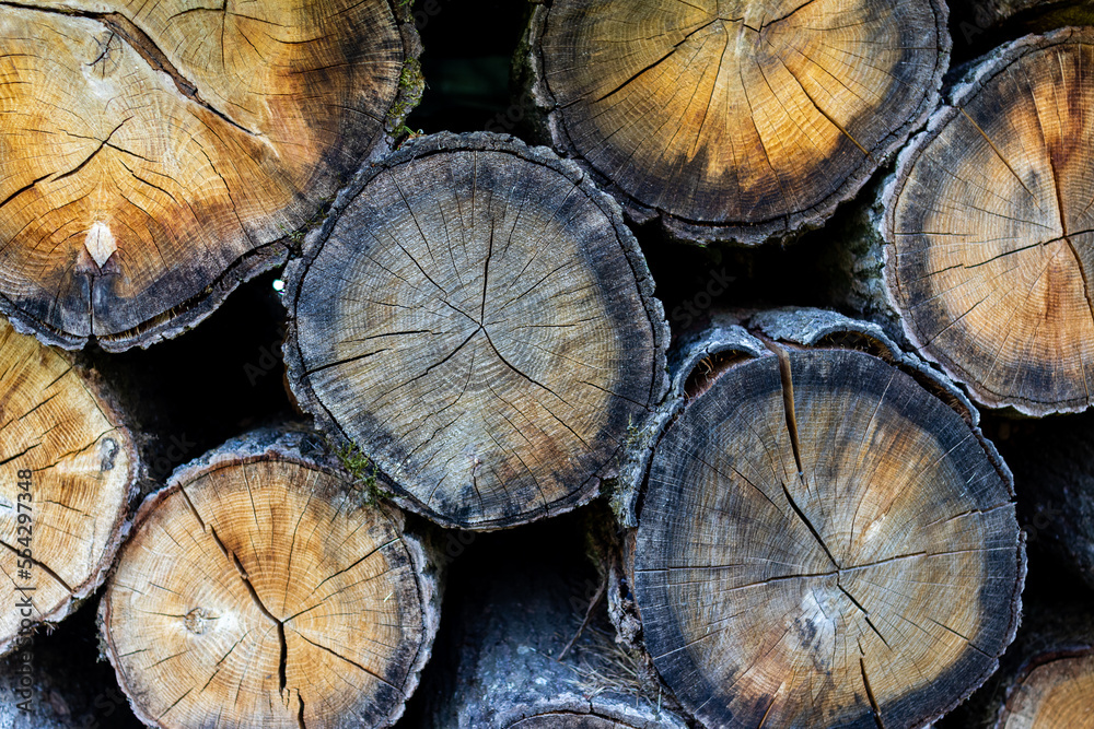 Closeup of stacked tree lumber in the daylight - great for wallpapers Closeup of stacked tree lumber in the daylight - great for wallpapers