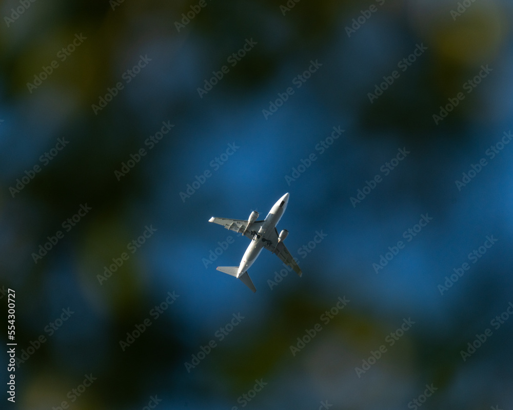 Fototapeta premium airplane in the sky
