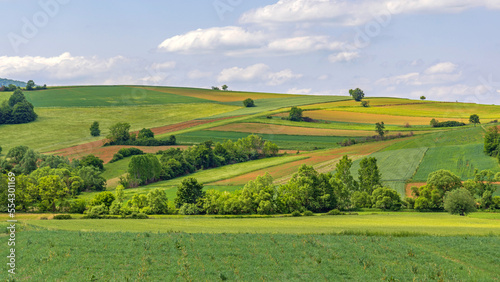 Green Hill Landscape