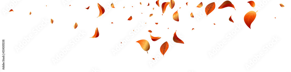 Red Foliage Herbal Vector White Panoramic