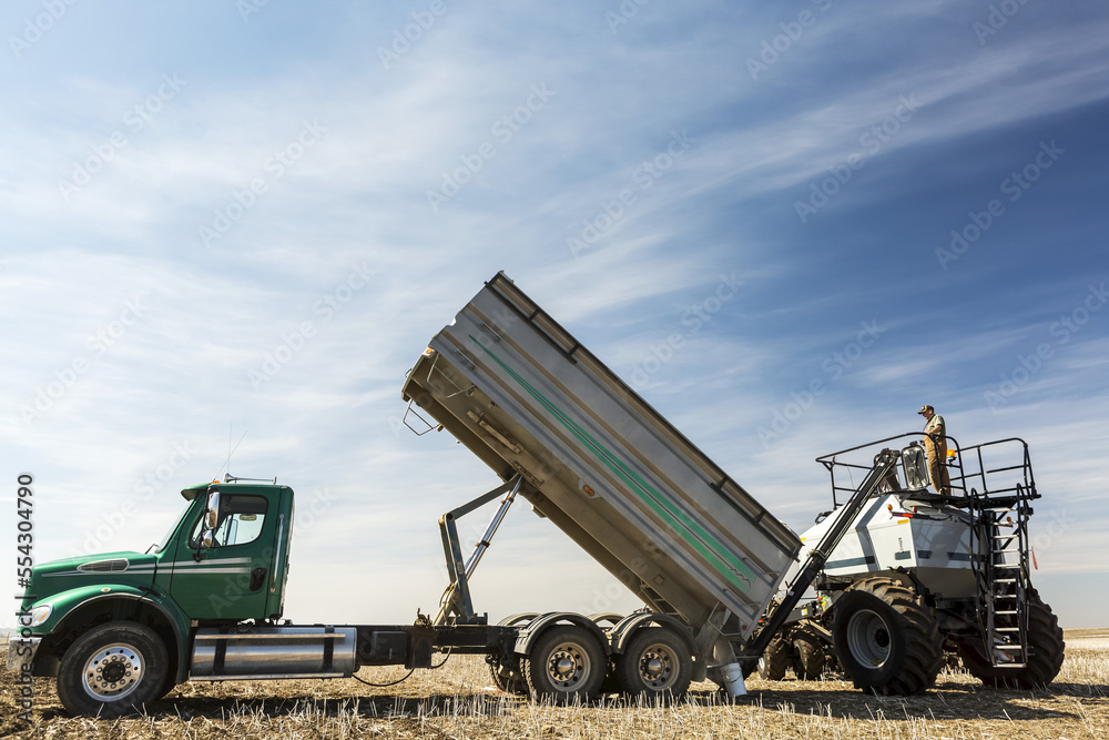 Farmer standing on top of hopper being filled with truck in a field with blue sky and clouds; Beiseker, Alberta, Canada Farmer standing on top of hopper being filled with truck in a field with blue sky and clouds; Beiseker, Alberta, Canada