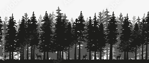 Spruce silhouette forest with deer