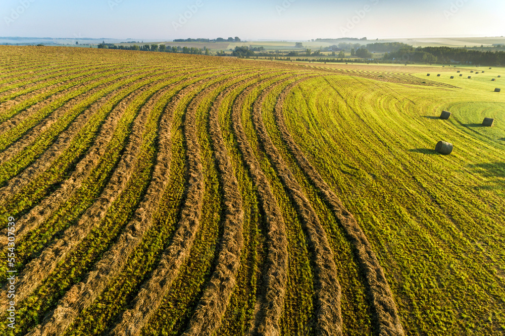 Aerial view of curved harvest lines in a cut field with hay bales, West of Calgary; Alberta, Canada Aerial view of curved harvest lines in a cut field with hay bales, West of Calgary; Alberta, Canada