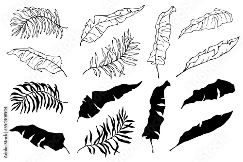 Set of linear sketches and silhouettes of tropical leaves of monstera, palm tree, banana. Vector graphics.