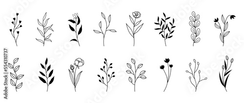 Hand drawn grass and flowers, minimalist flowers with elegant leaves. Minimal female botanical flower branch in silhouette style. Botanical trendy greenery vector for decor and print