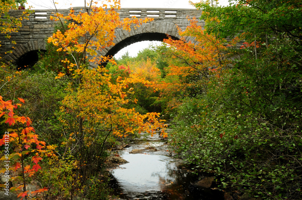 Carriage road bridge at Duck Brook in Acadia National Park.; Acadia National Park, Mount Desert Island, Maine.