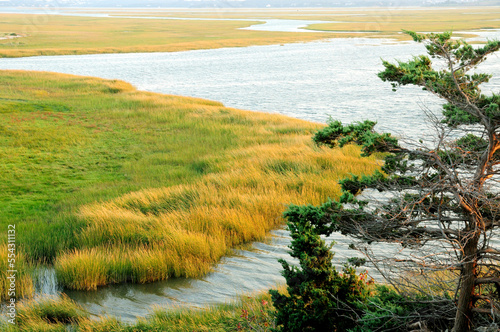 Scenic view of a salt marsh in the Cape Cod National Seashore.; Cape Cod National Seashore, Eastham, Massachusetts.