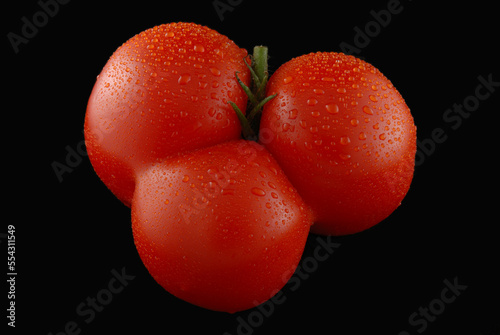 A large, red tomato with three lobes.; Arlington, Massachusetts. photo