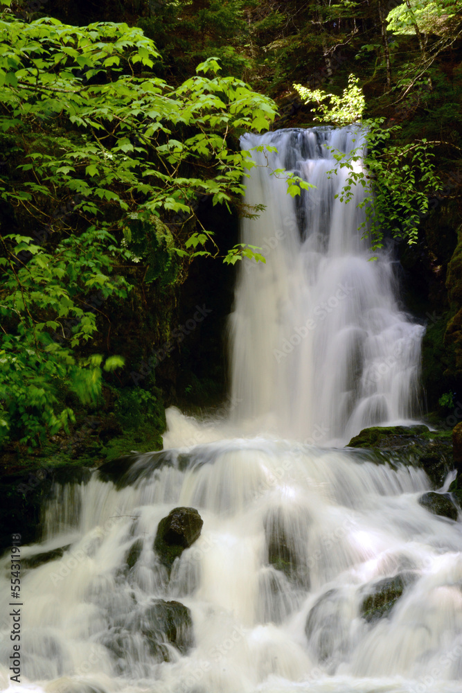 View of Dickson Falls and tree branches in Fundy National Park.; Dickson Falls, Fundy National Park, New Brunswick, Canada. View of Dickson Falls and tree branches in Fundy National Park.; Dickson Falls, Fundy National Park, New Brunswick, Canada.