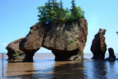 Flowerpot rocks caused by tidal erosion in the Bay of Fundy.; Hopewell Rocks Ocean Tidal Exploration Site, Hopewell Cape, New Brunswick, Canada. photo