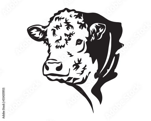 Hereford cattle cow vector file download | Any changes can be possible photo