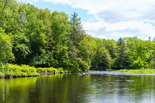 Sebasticook River in Pittsfield Maine on a late spring morning. photo