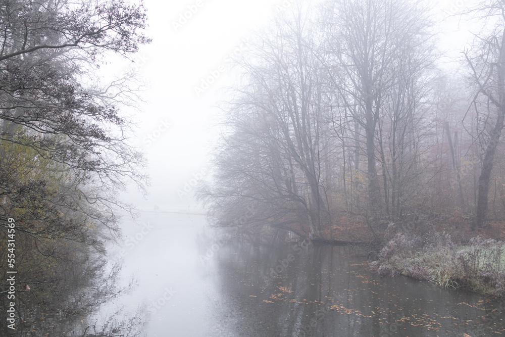 Obraz premium Fog over the pond in the forest on a frosty winter morning.
