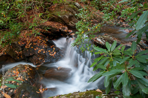 A gentle waterfall over mossy boulders, surrounded by rhododendron bushes.; Whiteoak Creek Falls, Pisgah National Forest, North Carolina. photo