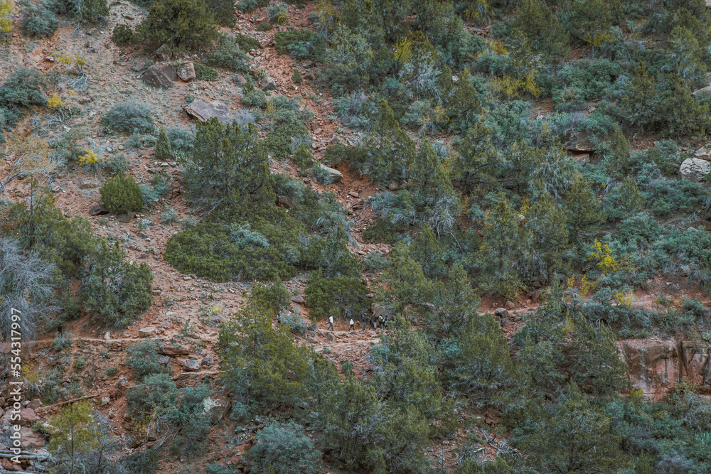 Fototapeta premium People walking on a popular hiking trail the emerald pools walk in zion national park in utah.