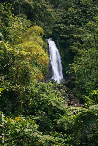 Trafalgar Falls on the island of Dominica in the Caribbean, an incredible double waterfall, one of which runs hot; Dominica, West Indies photo
