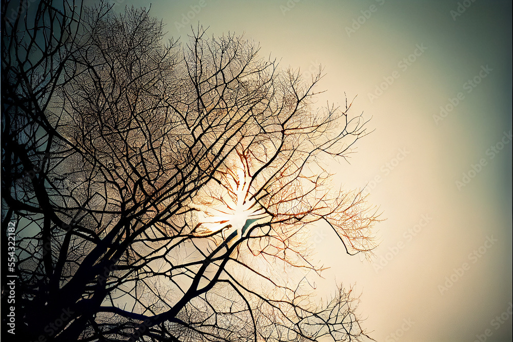 Obraz premium Sun Shining Through Tree Branches - AI Art