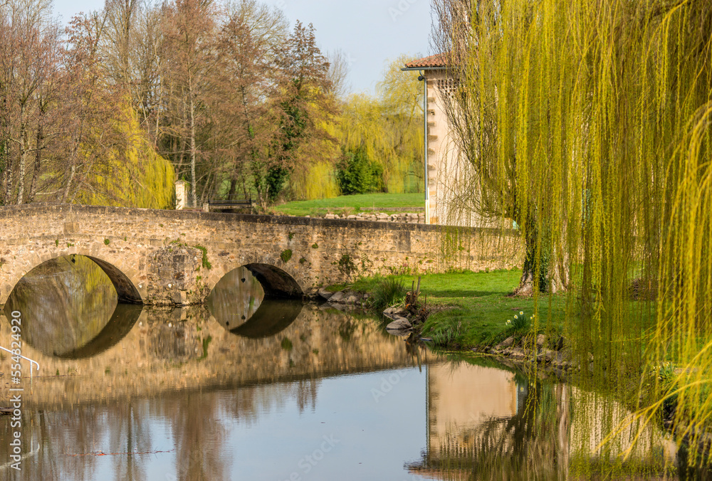 custom made wallpaper toronto digitalPont ancien sur le Clain à Pressac, Vienne, France