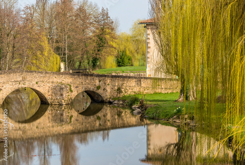 Wallpaper Mural Pont ancien sur le Clain à Pressac, Vienne, France Torontodigital.ca