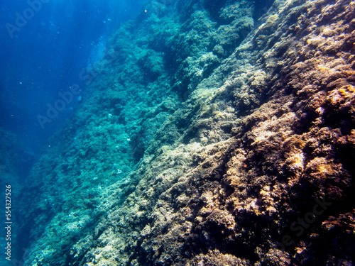 Obraz na płótnie Fondale marino Isola Bella Taormina w salonie