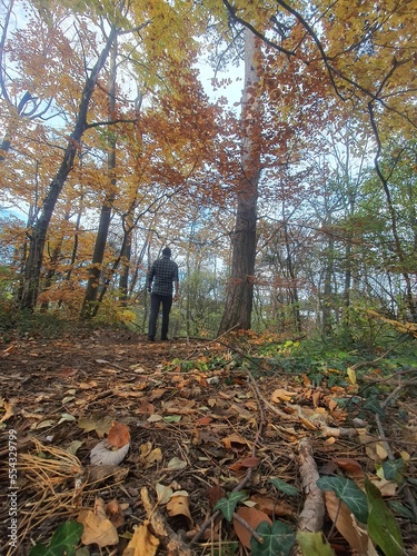 Young sporty male hiker on a forest path in autmn