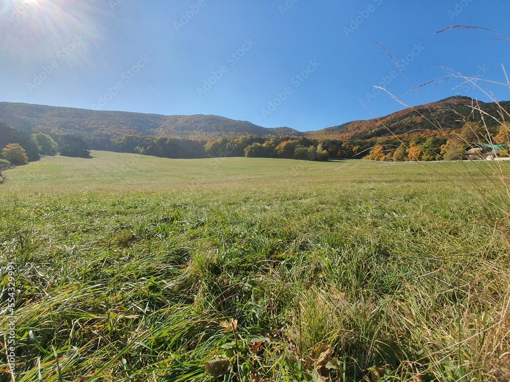 Lovely landscape with grass and a clear blue sky. Huge meadow next to the forest. Meiereiwiese in Moedling, Austria