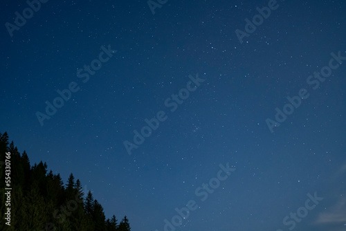 Starry night sky in the forest. Night in the mountains. night silhouette