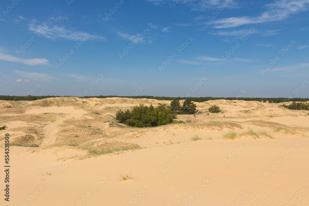 View of the Oleshkiv sands - the Ukrainian desert near the city of Kherson. Ukraine