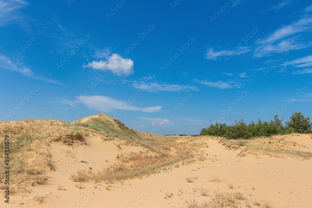 View of the Oleshkiv sands - the Ukrainian desert near the city of Kherson. Ukraine