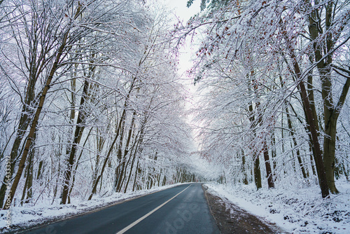 road in winter forest © Oksana
